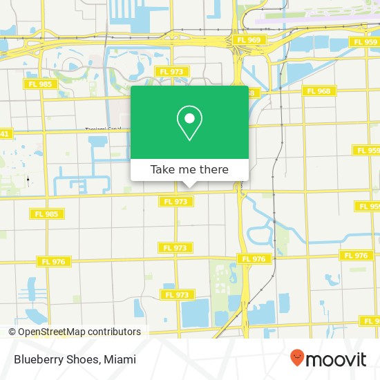 Blueberry Shoes, 8441 Coral Way Miami, FL 33155 map