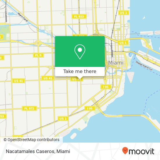 Mapa de Nacatamales Caseros, 832 SW 12th Ave Miami, FL 33130