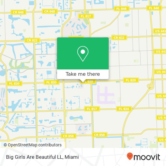 Big Girls Are Beautiful LL, 100 SW 83rd Way Pembroke Pines, FL 33025 map