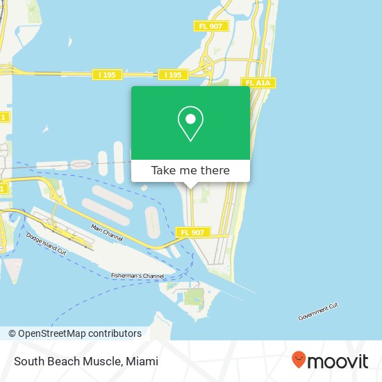 South Beach Muscle map