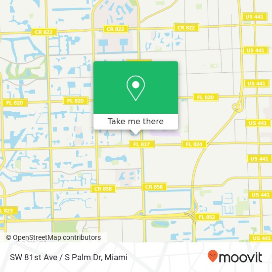 SW 81st Ave / S Palm Dr map