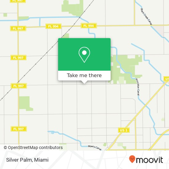 Mapa de Silver Palm