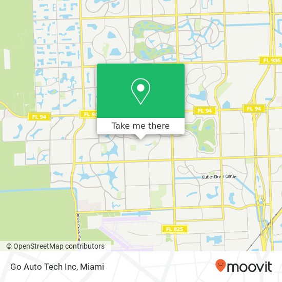 Go Auto Tech Inc map