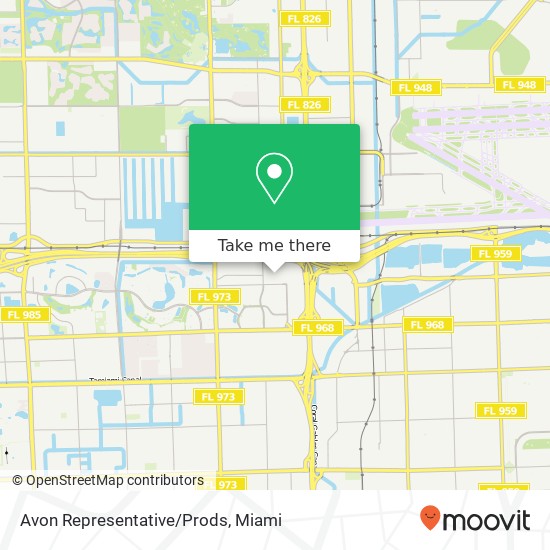 Avon Representative/Prods map