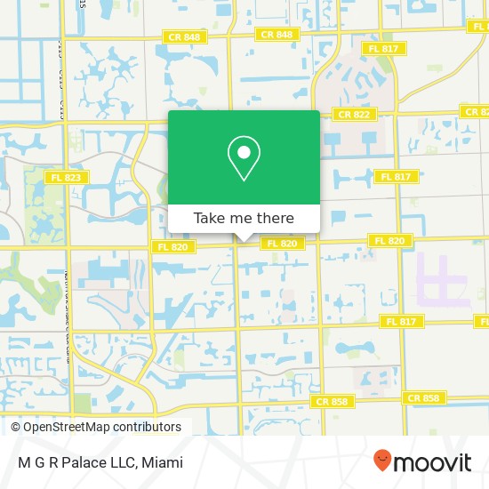 M G R Palace LLC map