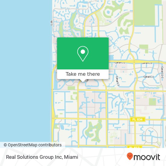 Real Solutions Group Inc map