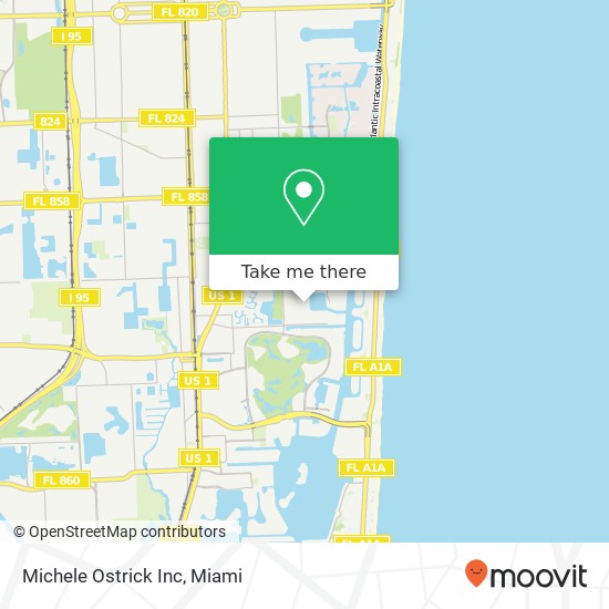 Michele Ostrick Inc map