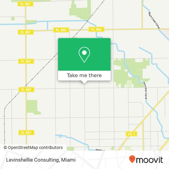 Levinshellie Consulting map