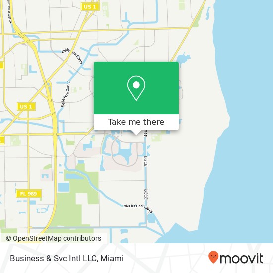 Business & Svc Intl LLC map