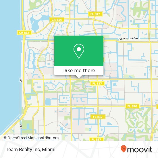 Team Realty Inc map