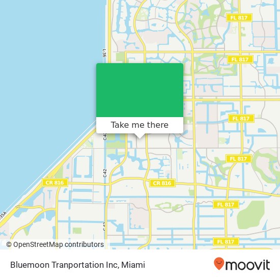 Bluemoon Tranportation Inc map