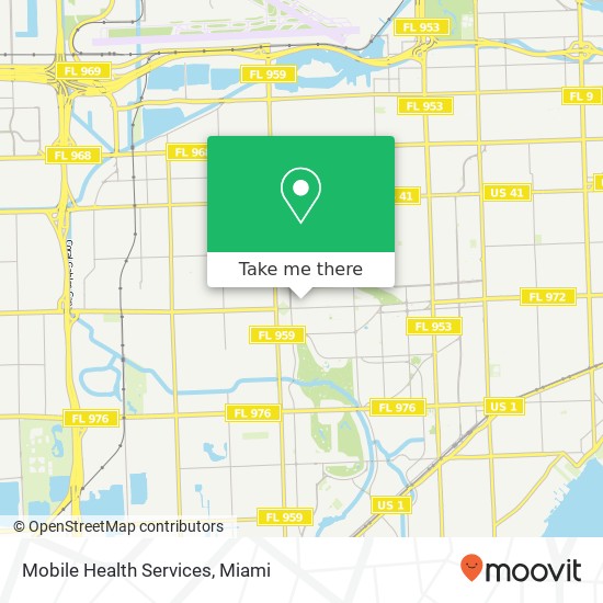 Mapa de Mobile Health Services