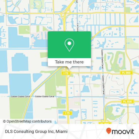 DLS Consulting Group Inc map