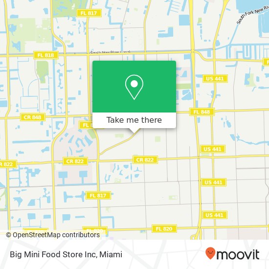 Big Mini Food Store Inc map