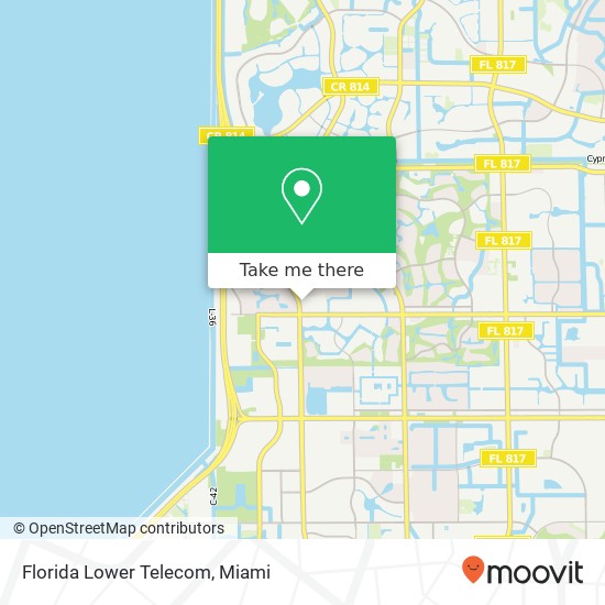 Florida Lower Telecom map