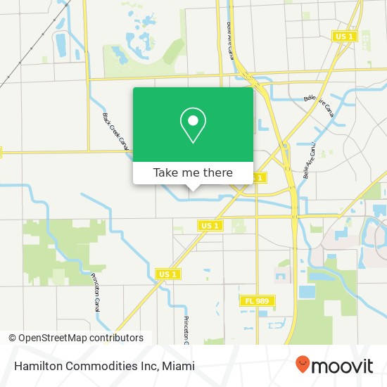 Hamilton Commodities Inc map