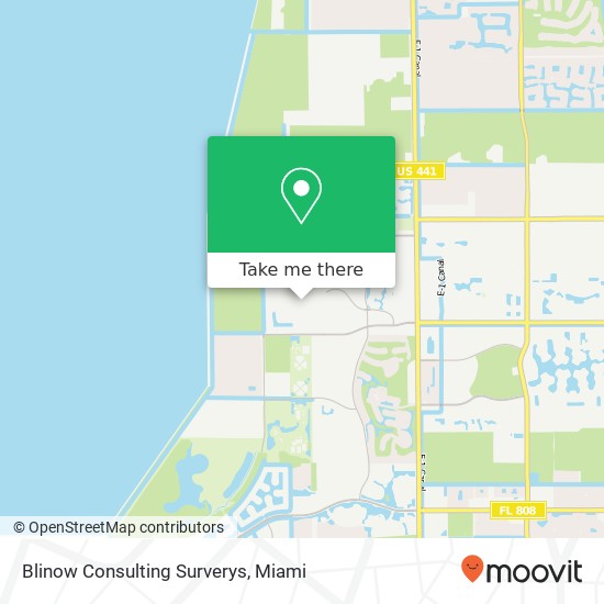 Blinow Consulting Surverys map