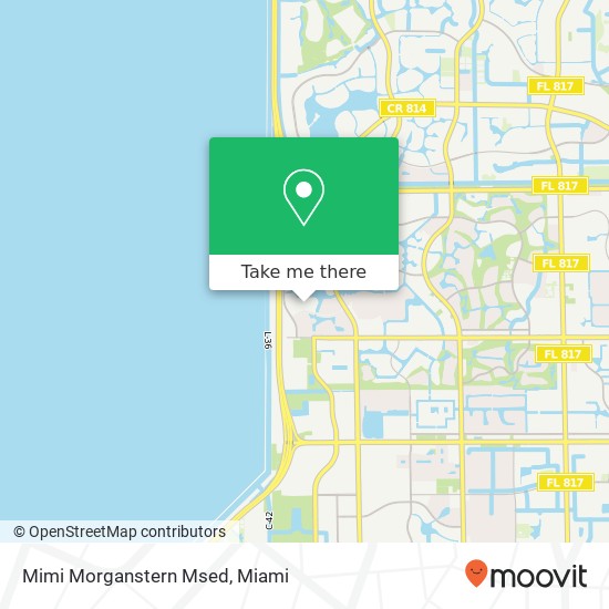 Mimi Morganstern Msed map