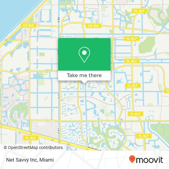 Net Savvy Inc map