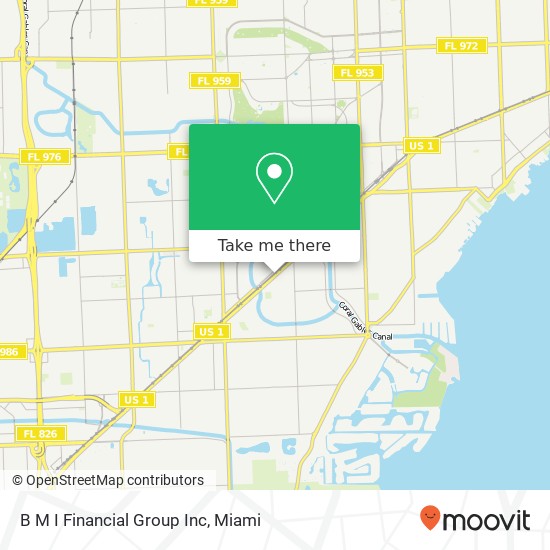 B M I Financial Group Inc map