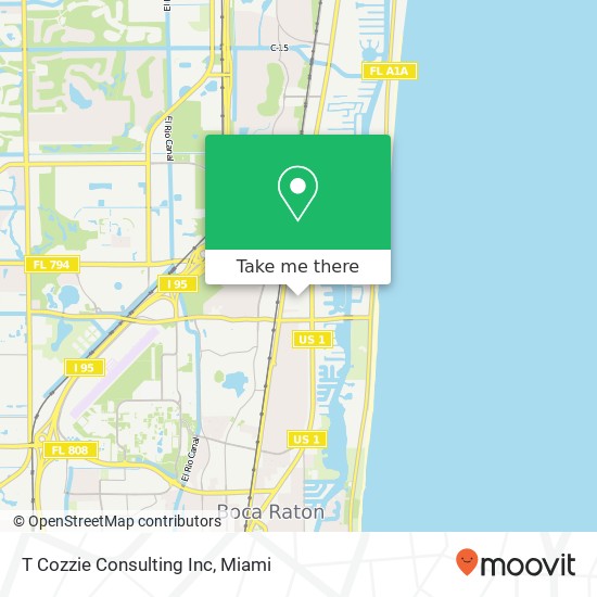 T Cozzie Consulting Inc map
