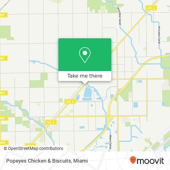 Popeyes Chicken & Biscuits map