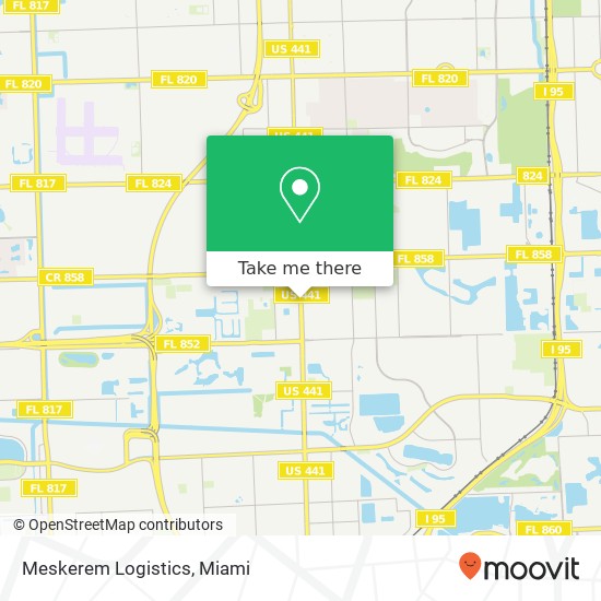 Meskerem Logistics map