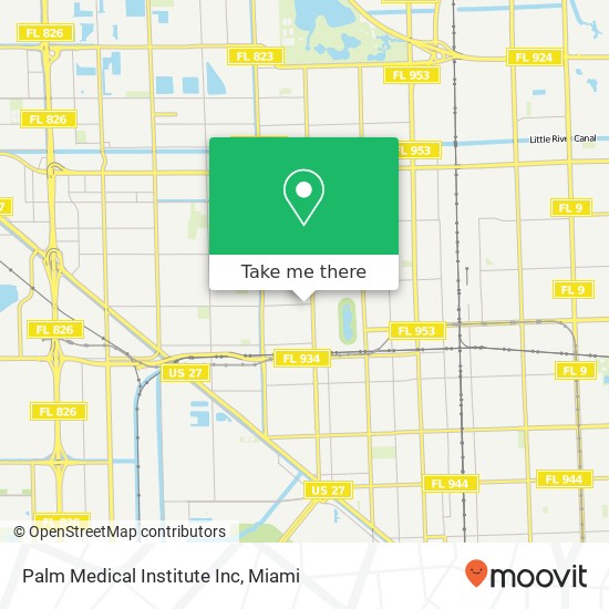 Palm Medical Institute Inc map