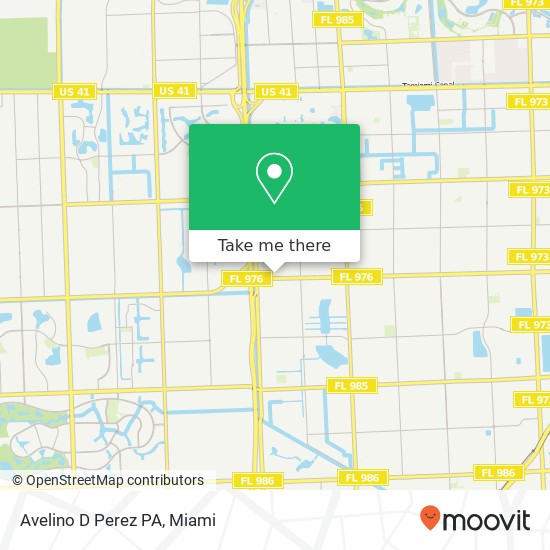 Mapa de Avelino D Perez PA