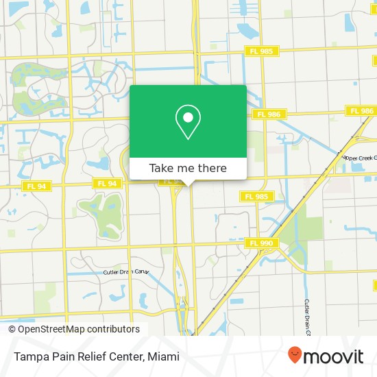 Tampa Pain Relief Center map