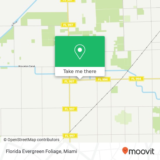 Mapa de Florida Evergreen Foliage