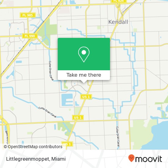 Mapa de Littlegreenmoppet, 8803 SW 132nd St Miami, FL 33176