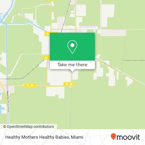 Healthy Mothers Healthy Babies map