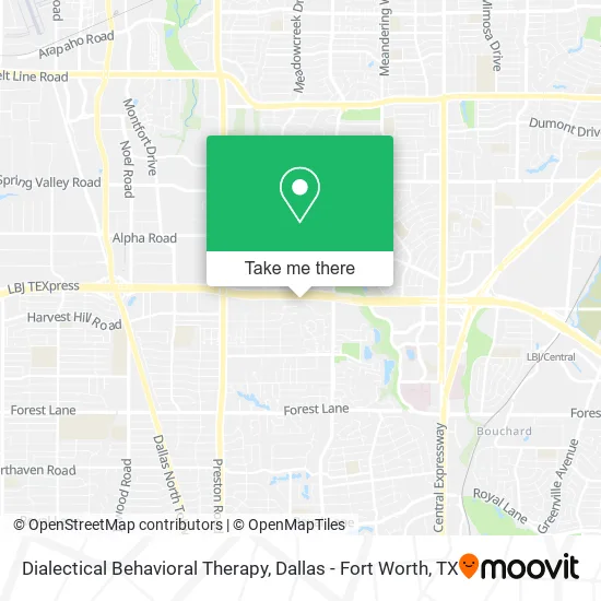 Dialectical Behavioral Therapy map