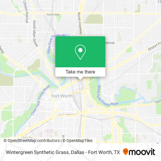 Wintergreen Synthetic Grass map