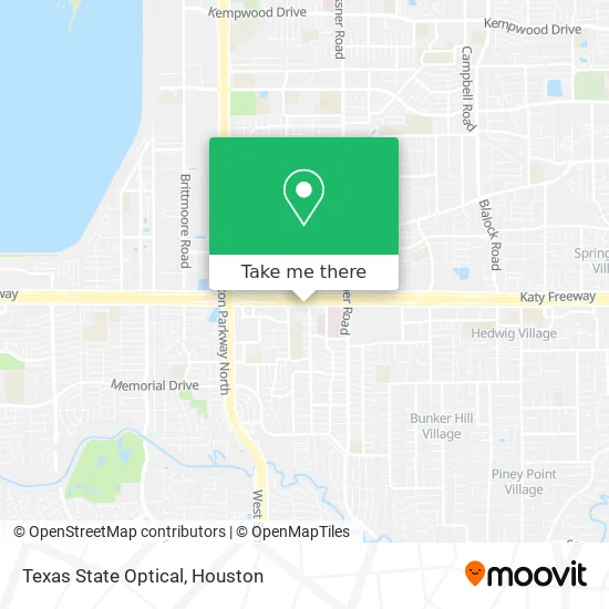 Texas State Optical map