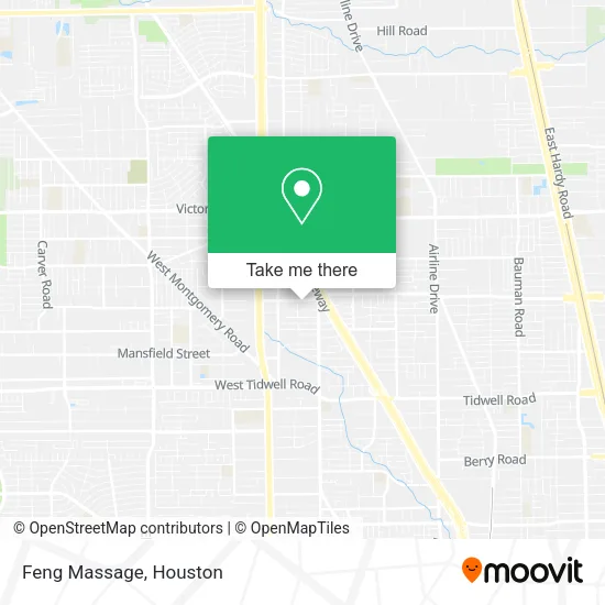 Feng Massage map