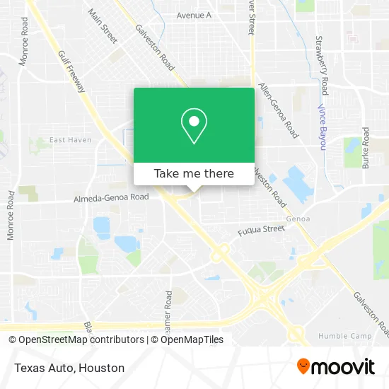 Texas Auto map