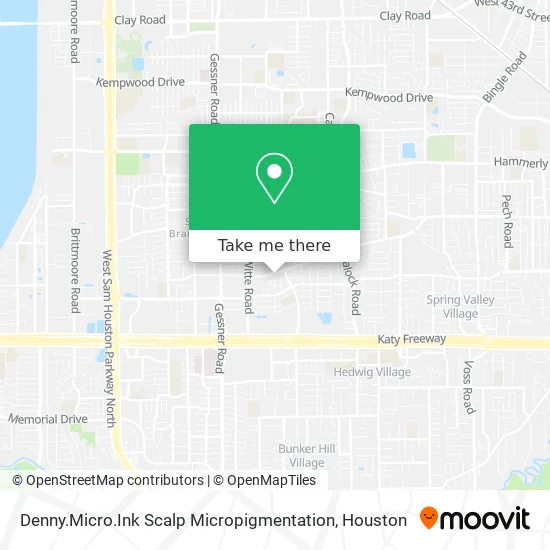 Denny.Micro.Ink Scalp Micropigmentation map