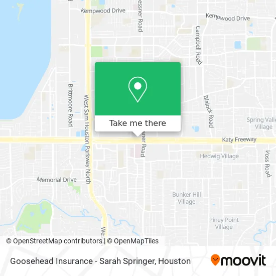 Goosehead Insurance - Sarah Springer map