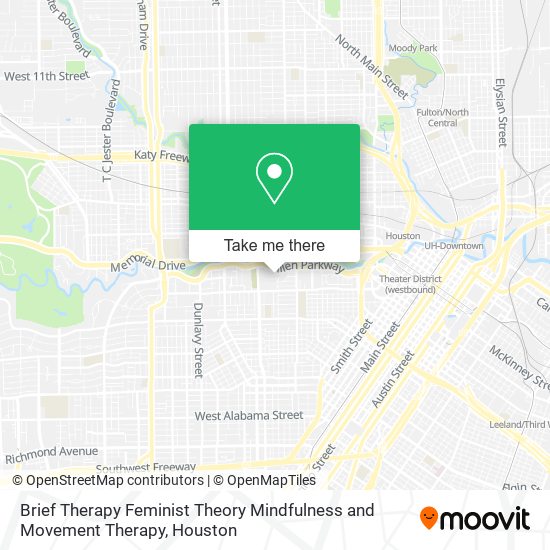 Brief Therapy Feminist Theory Mindfulness and Movement Therapy map