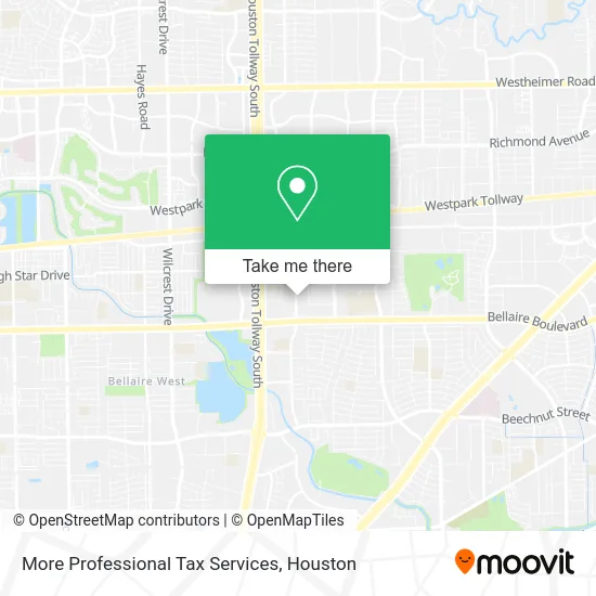 More Professional Tax Services map