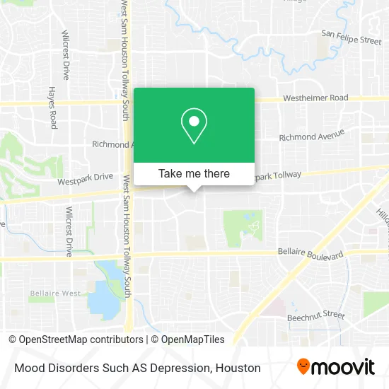 Mapa de Mood Disorders Such AS Depression