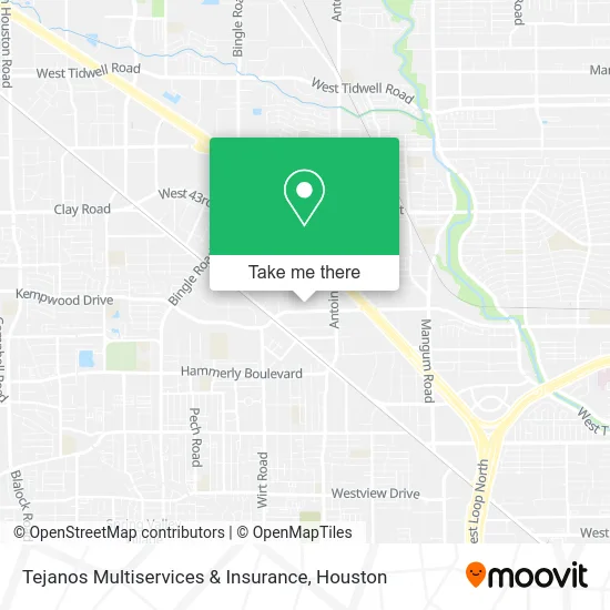 Tejanos Multiservices & Insurance map