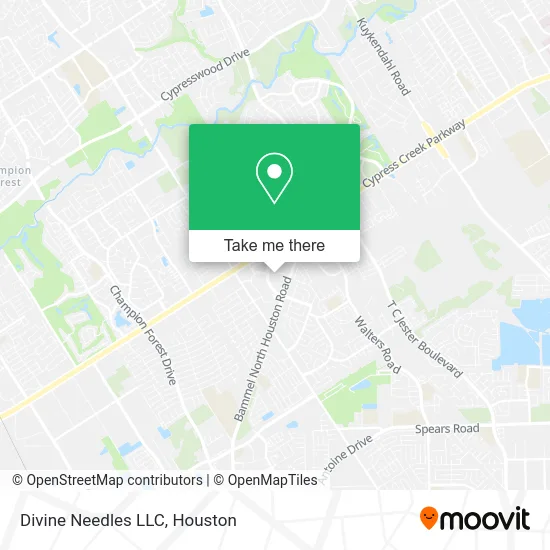 Mapa de Divine Needles LLC