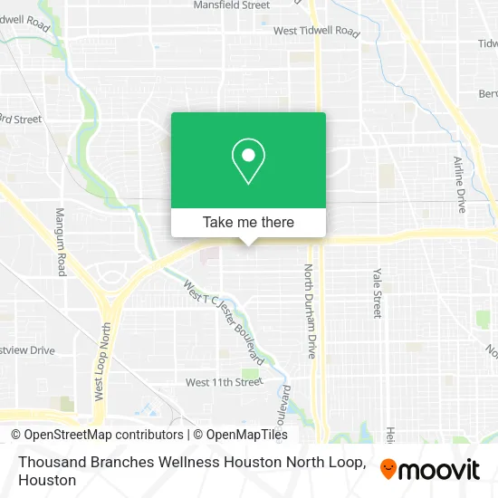 Mapa de Thousand Branches Wellness Houston North Loop