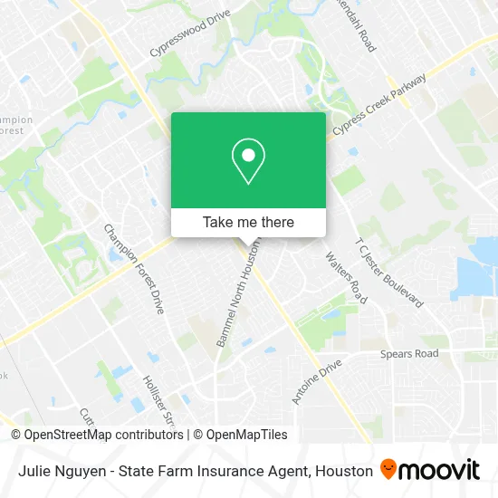 Julie Nguyen - State Farm Insurance Agent map