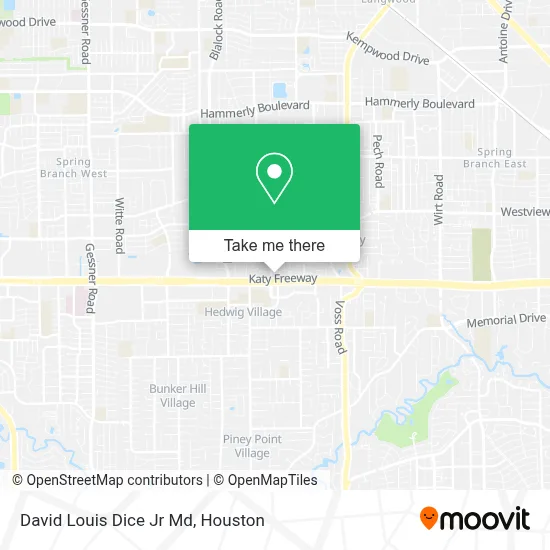 David Louis Dice Jr Md map