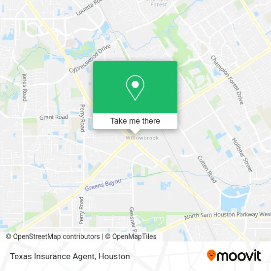 Texas Insurance Agent map