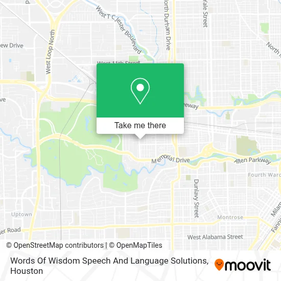 Words Of Wisdom Speech And Language Solutions map